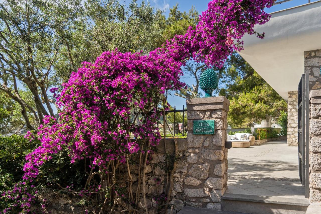 Villa Arabella Капри Экстерьер фото